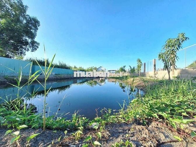 Nhà vườn 1185m2 xe hơi tới nơi Lê Văn Lương , Nhơn Đức