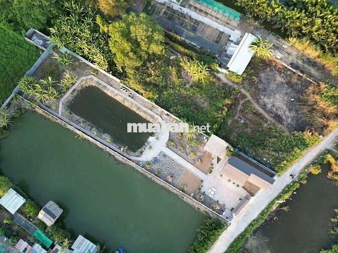 Nhà vườn 1185m2 xe hơi tới nơi Lê Văn Lương , Nhơn Đức