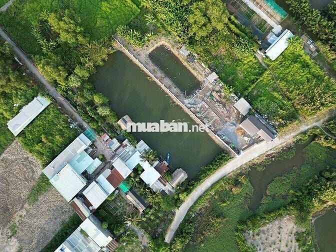 Nhà vườn 1185m2 xe hơi tới nơi Lê Văn Lương , Nhơn Đức