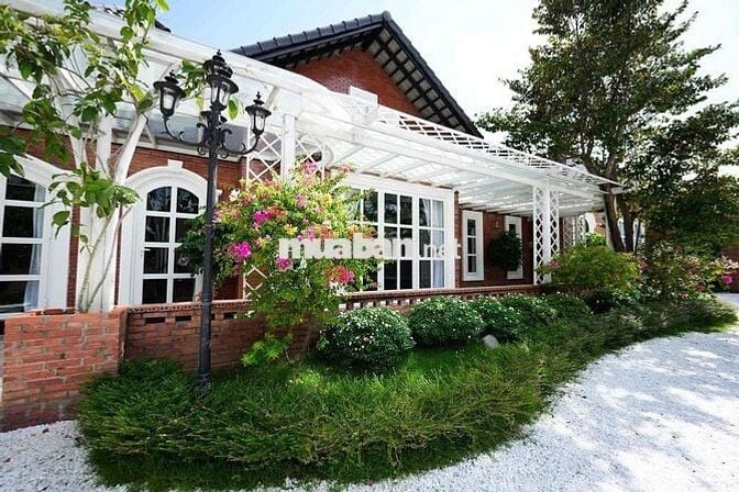 🔥Siêu Hot cho thuê Villa, H.Bơi , S.Vườn 2500m2,Ngô Quang Thắm, Nhà Bè