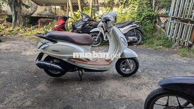 SYM Venus 125 Fi zin đẹp về chạy liền 9 chủ