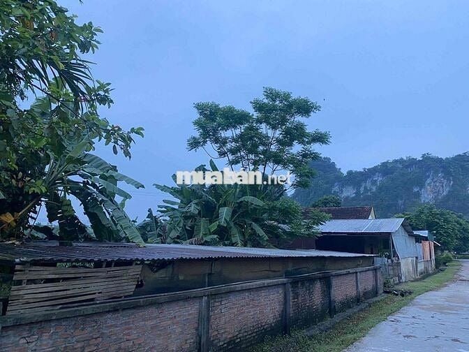 Bán ~4000m2 Đất Quê có Thổ Cư chỉ 875nghìn/m2