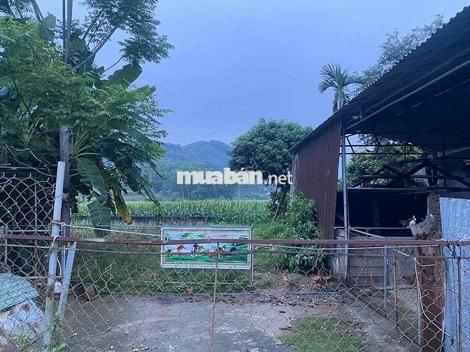 Bán ~4000m2 Đất Quê có Thổ Cư chỉ 875nghìn/m2