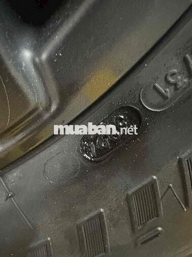 Ford Raptor 2024 Trắng 1 vạn km