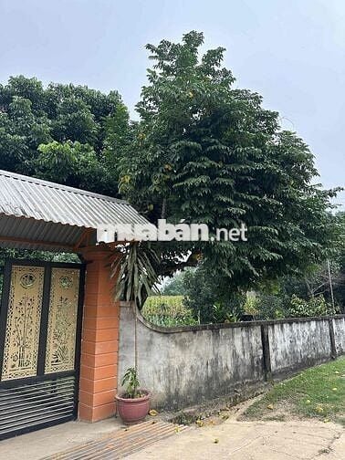 Bán ~4000m2 Đất Quê có Thổ Cư chỉ 875nghìn/m2