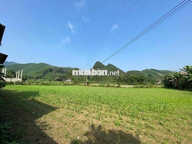 Bán ~4000m2 Đất Quê có Thổ Cư chỉ 875nghìn/m2