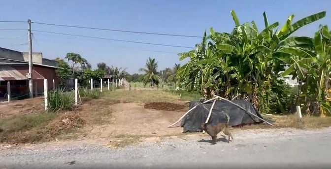 ĐẤT THỔ 380m2 - SÁT TL 839- NGANG 10m- ĐỨC HUỆ