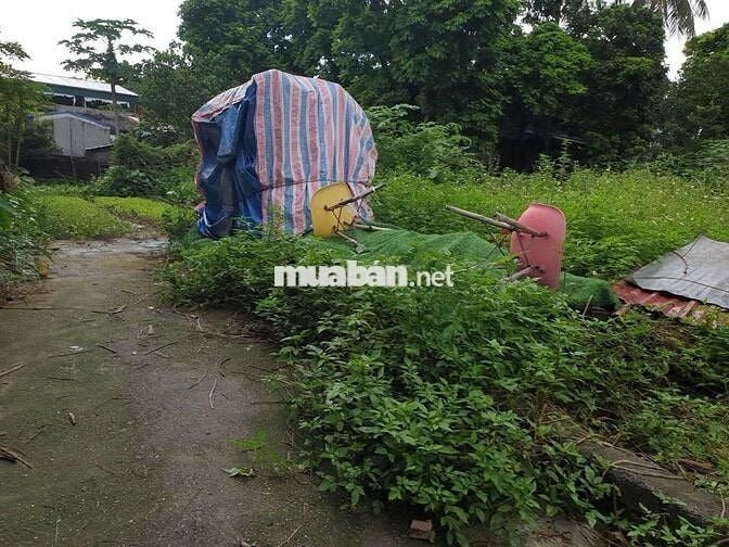 Tôi cần bán mảnh đất đẹp tại Văn Hội, Văn Bình