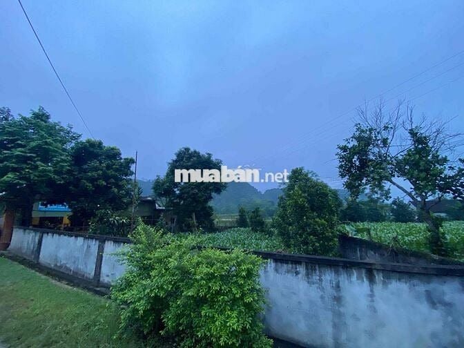 Bán ~4000m2 Đất Quê có Thổ Cư chỉ 875nghìn/m2