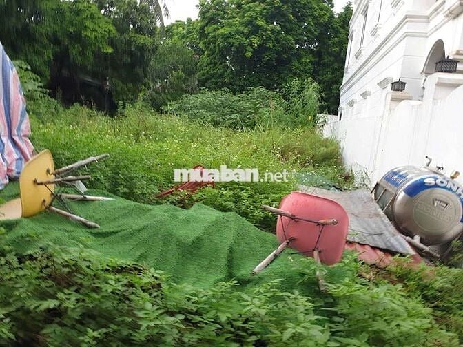 Tôi cần bán mảnh đất đẹp tại Văn Hội, Văn Bình