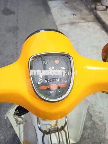 Xe Honda cup 81 nhật cũ