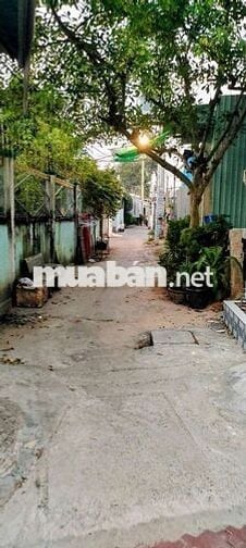 Nhà cấp 4 SHR mặt tiền đường N12-TT.Hóc Môn.Dt 18m2~2 tấm~1,68ty