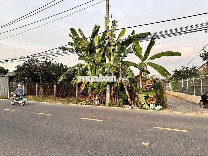 BÁN GẤP ĐẤT MẶT TIỀN HƯƠNG LỘ 7 – NGÃ TƯ TÂN TRIỀU, GIÁ NGỘP 2TỶ7 !!!