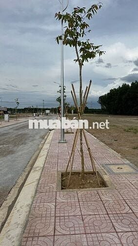 BÁN ĐẤT NỀN KHU TÁI ĐỊNH CƯ MỚI TẠI TÂN TRIỀU. GIÁ F0 CHỈ TỪ 1TY430 !!