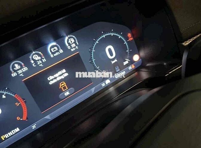 Ford Raptor 2024 Trắng 1 vạn km