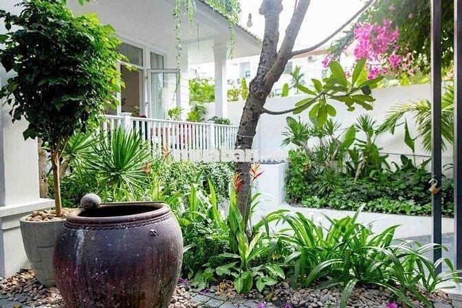 🇻🇳CHO THUÊ BIỆT THỰ SÂN VƯỜN PHÙ HỢP HOMSTAY