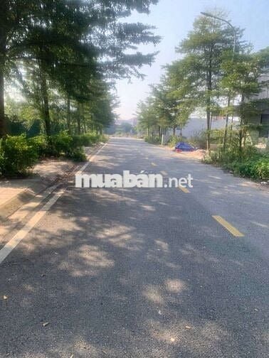 Cần bán gấp Hơn 8.4x tỷ nhà 3 tầng Khu đô thị Tiền Châu Phúc Yên