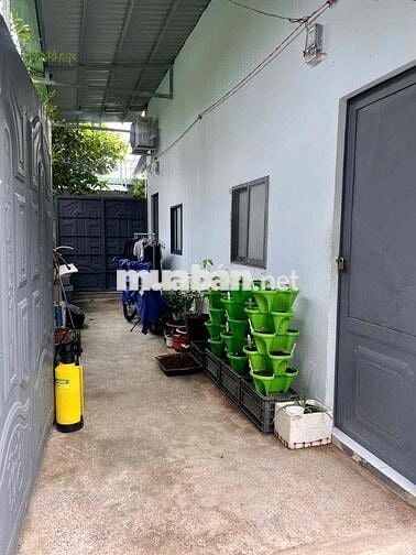 Bán đất tặng Nhà Vườn và 2 phòng trọ rộng mới An Thạnh-Phú Thọ giá êm