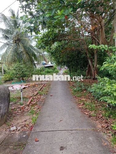 CẦN BÁN GẤP LÔ ĐẤT MẶT TIỀN ĐƯỜNG CHUYÊN DÙNG CHÍNH