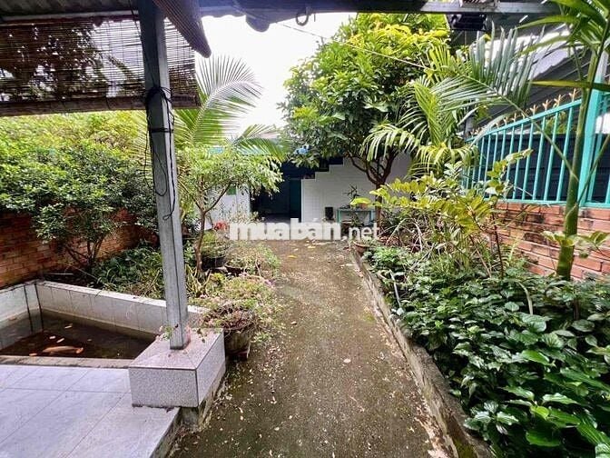 Bán đất tặng Nhà Vườn và 2 phòng trọ rộng mới An Thạnh-Phú Thọ giá êm