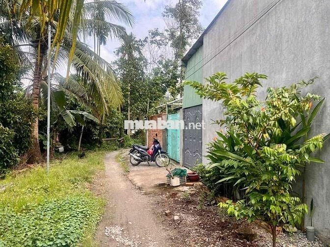 Bán đất tặng Nhà Vườn và 2 phòng trọ rộng mới An Thạnh-Phú Thọ giá êm