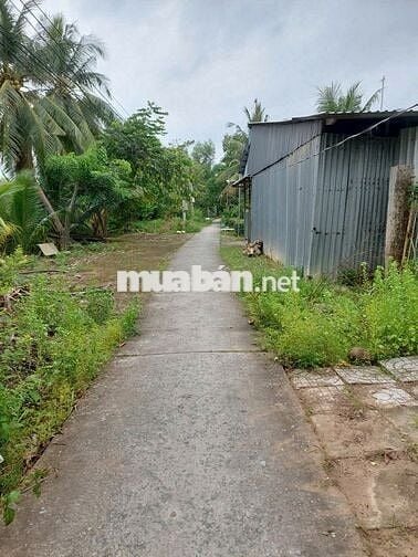 CẦN BÁN GẤP LÔ ĐẤT MẶT TIỀN ĐƯỜNG CHUYÊN DÙNG CHÍNH