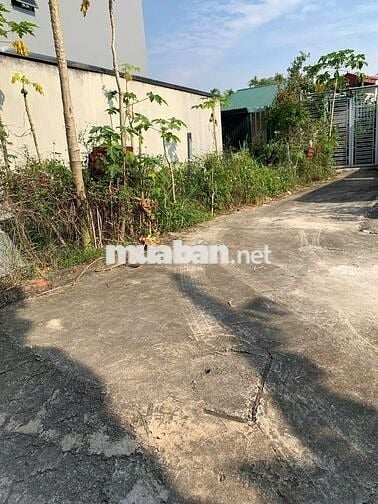 Sổ đỏ chính chủ bán đất 51m2,Thiên Đông, Thanh Oai, Gần Vành Đai 4