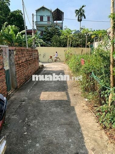 Sổ đỏ chính chủ bán đất 51m2,Thiên Đông, Thanh Oai, Gần Vành Đai 4