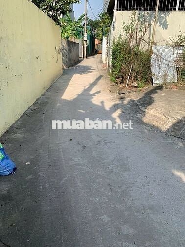 Sổ đỏ chính chủ bán đất 51m2,Thiên Đông, Thanh Oai, Gần Vành Đai 4