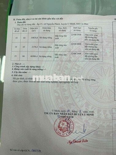 Bán đất rừng sản suất 7ha tại huyện U Minh chính chủ giá tốt