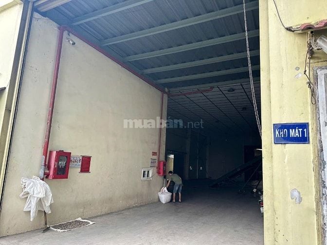 Cho thuê kho xưởng 1300m2 Nguyễn Duy Trinh, Phú Hữu, Q9 có pccc