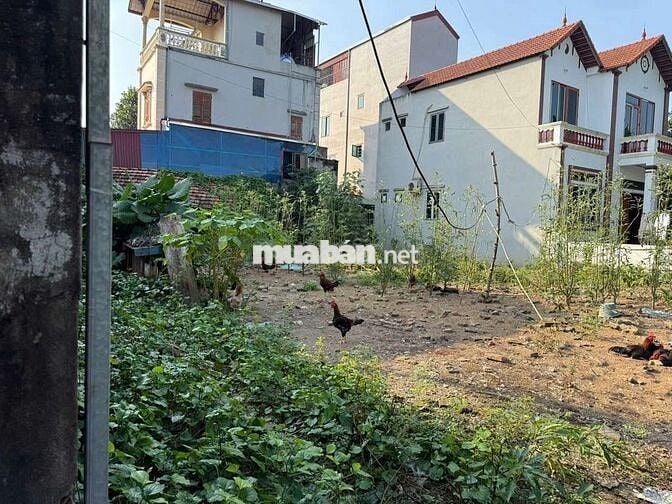 Chính chủ bán đất chợ tam hưng phân lô ô tô tránh