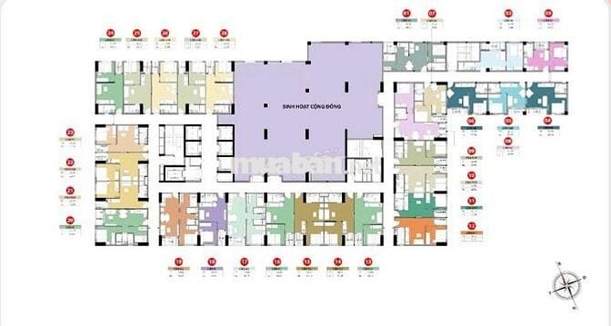 ASAHI- GIÁ TỐT TRỰC TIẾP TỪ CĐT