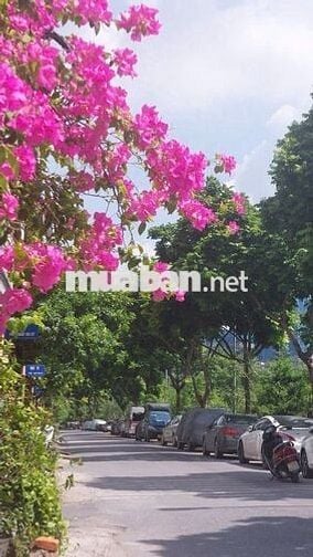 Bán đất Vạn Phúc - Ngõ thông - Ô tô đỗ cửa - Nở hậu - Quanh 8 tỷ