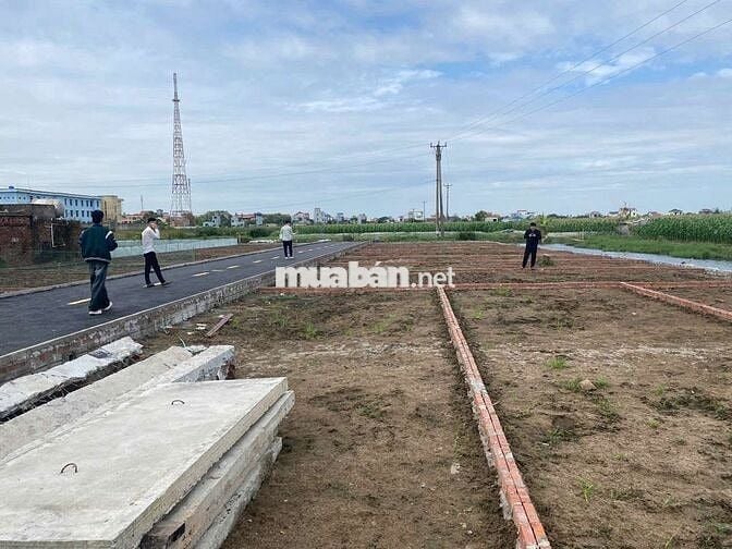 🏡 CẦN BÁN ĐẤT THỔ CƯ – TRUNG TÂM QUẤT LÂM, NAM ĐỊNH