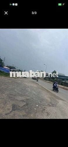 🏡 CẦN BÁN ĐẤT THỔ CƯ – TRUNG TÂM QUẤT LÂM, NAM ĐỊNH