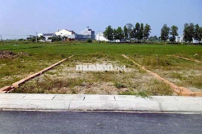 🏡 CẦN BÁN ĐẤT THỔ CƯ – TRUNG TÂM QUẤT LÂM, NAM ĐỊNH