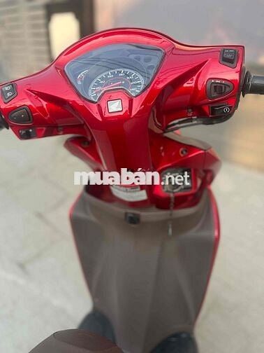 visson zin ken quá đẹp