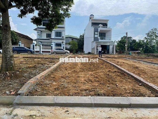 🏡 CẦN BÁN ĐẤT THỔ CƯ – TRUNG TÂM QUẤT LÂM, NAM ĐỊNH