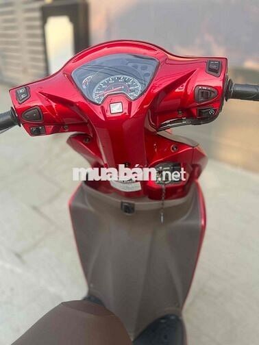 visson zin ken quá đẹp