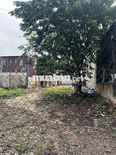 Đất nông nghiệp 558,2m2 ngay thuận an thuận giao