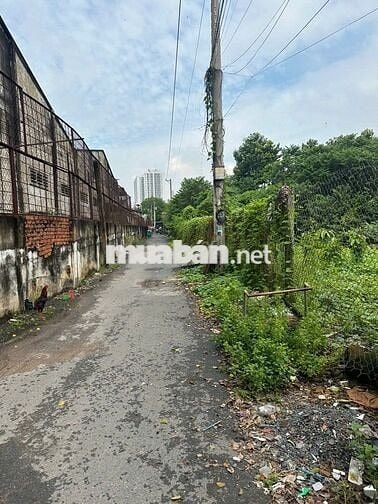 Đất nông nghiệp 558,2m2 ngay thuận an thuận giao