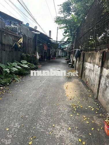 Đất nông nghiệp 558,2m2 ngay thuận an thuận giao