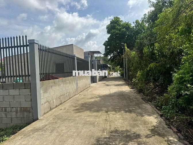 GẤP LẮM! 458M2 THỊ TRẤN CỦ CHI CHỈ 600TR. THỔ CƯ, NGỘP CHỦ