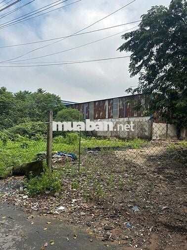 Đất nông nghiệp 558,2m2 ngay thuận an thuận giao