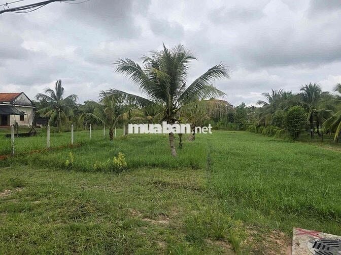 🔥 BÁN ĐẤT 400m2 GIÁ CHỈ 319TR TẠI XÃ MINH HƯNG – CHƠN THÀNH 🔥