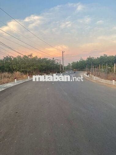 📣 BÁN ĐẤT LỘC KHÁNH, LỘC NINH 1042M² – GIÁ CHỈ 485 TRIỆU