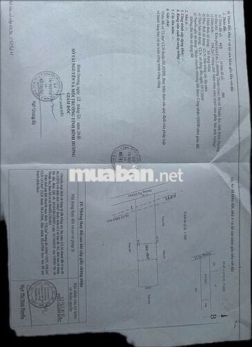 Đất nông nghiệp 558,2m2 ngay thuận an thuận giao