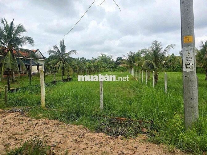 🔥 BÁN ĐẤT 400m2 GIÁ CHỈ 319TR TẠI XÃ MINH HƯNG – CHƠN THÀNH 🔥