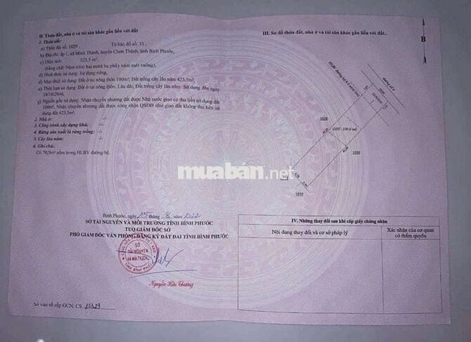 Liên hệ sớm thương lượng 450 quay đầu